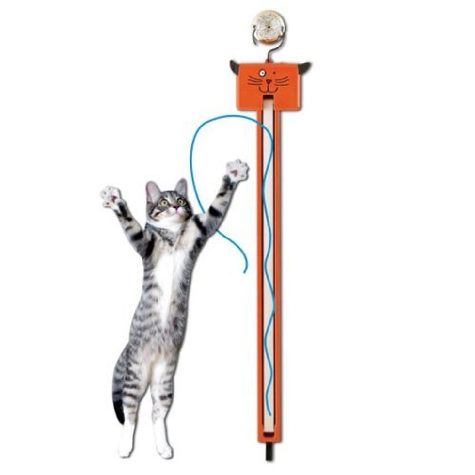 Fun Toy Fling ama String