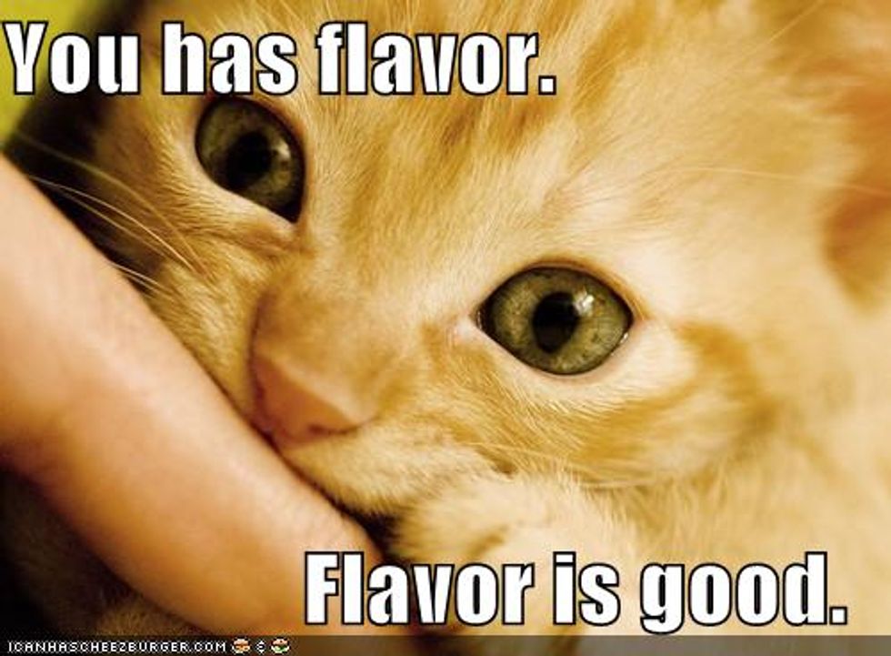 Lol Cat Time I Has a Flavor