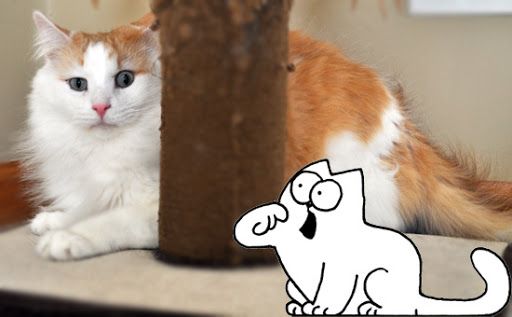 Simon's cat in real sales life