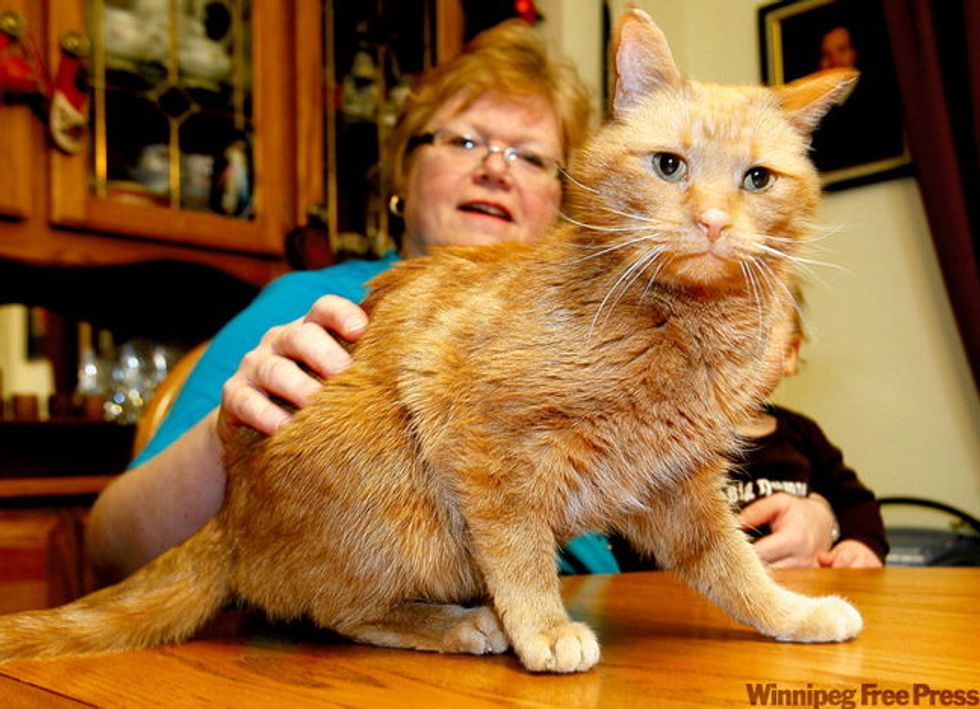 Cat Found After 14 Years
