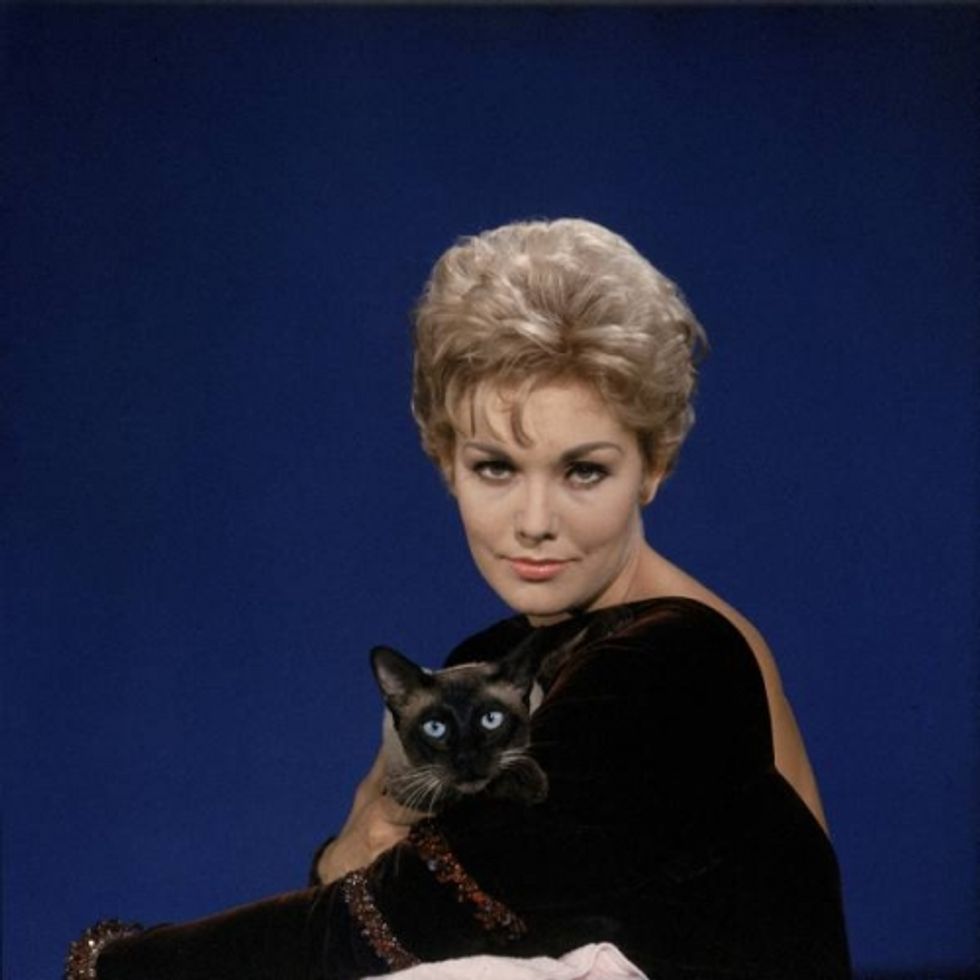 celebrities-and-cats-love-meow