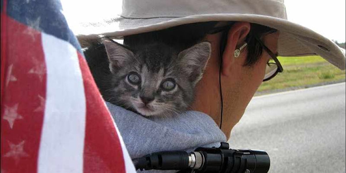 Backpacking Cat Amazing Story Love Meow