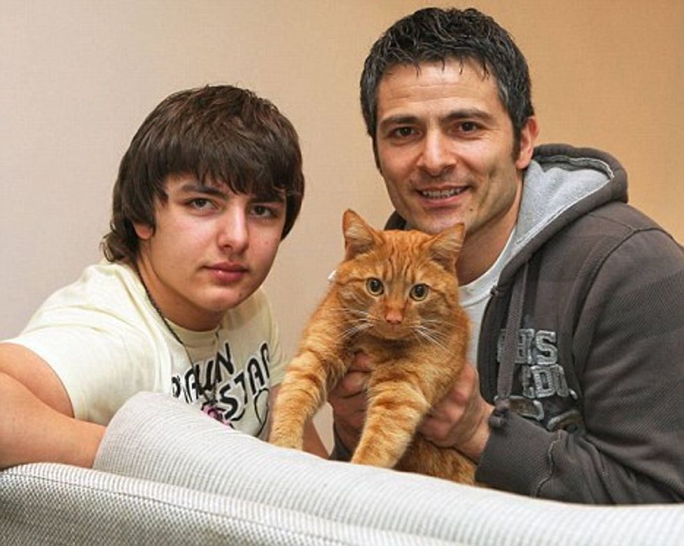 Cat 'Comes Back to Life' Nine Months After Owner Buries Him