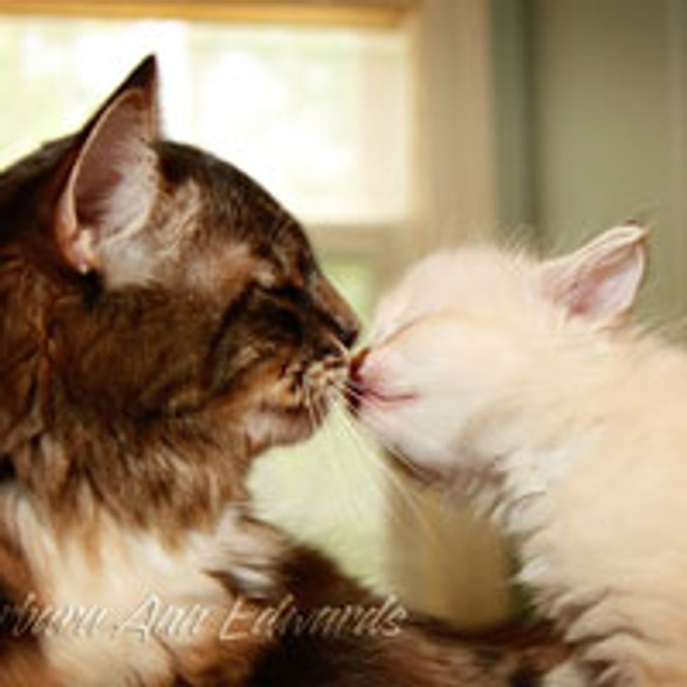 Mother and Daughter Love