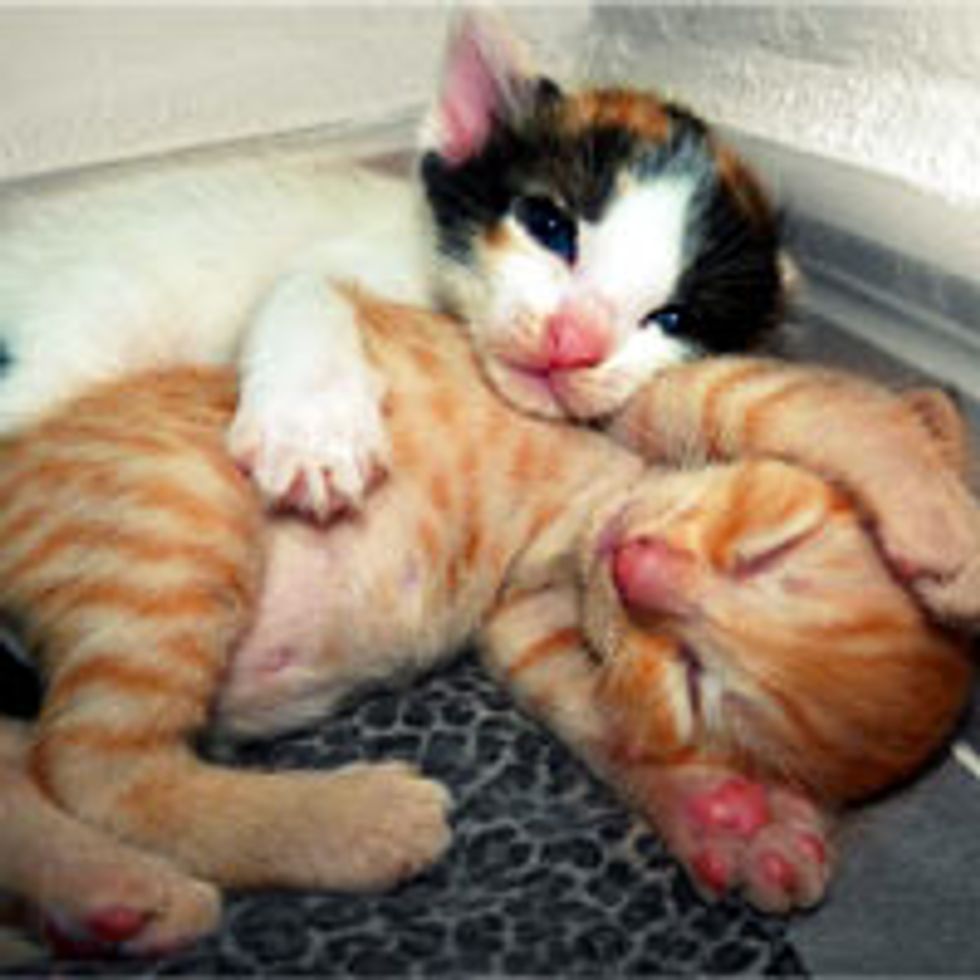 Don't be Sad, Here is a Hug for You!