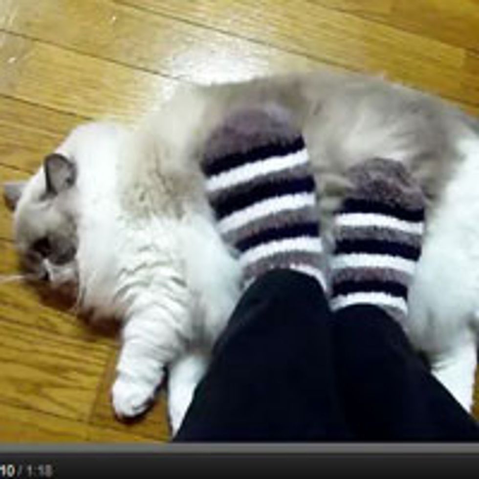 Fluffy Kitty Foot Warmer