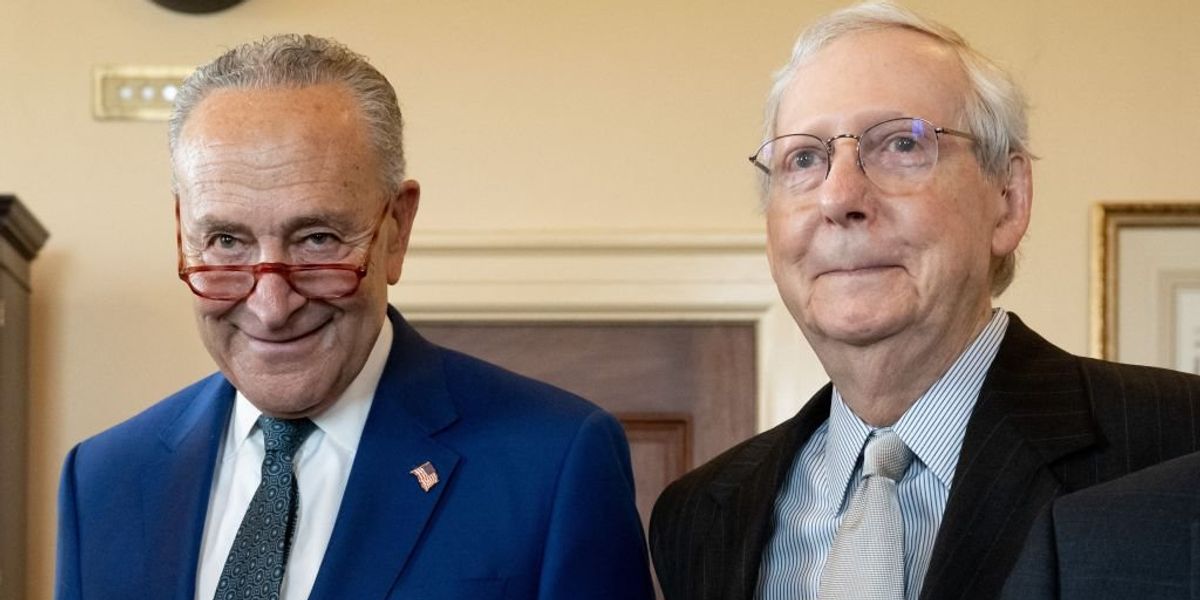 NextImg:Commentary: How ‘the Firm’ pushes bad spending bills — and what we can do about it