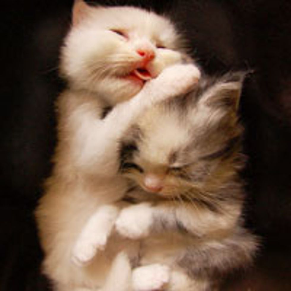 Don't Worry! You are Safe with Me!