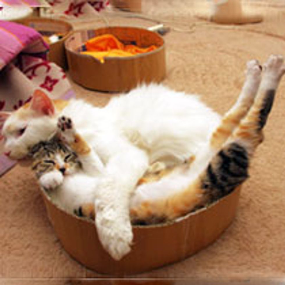 Halp! I am Trapped by a Hug!