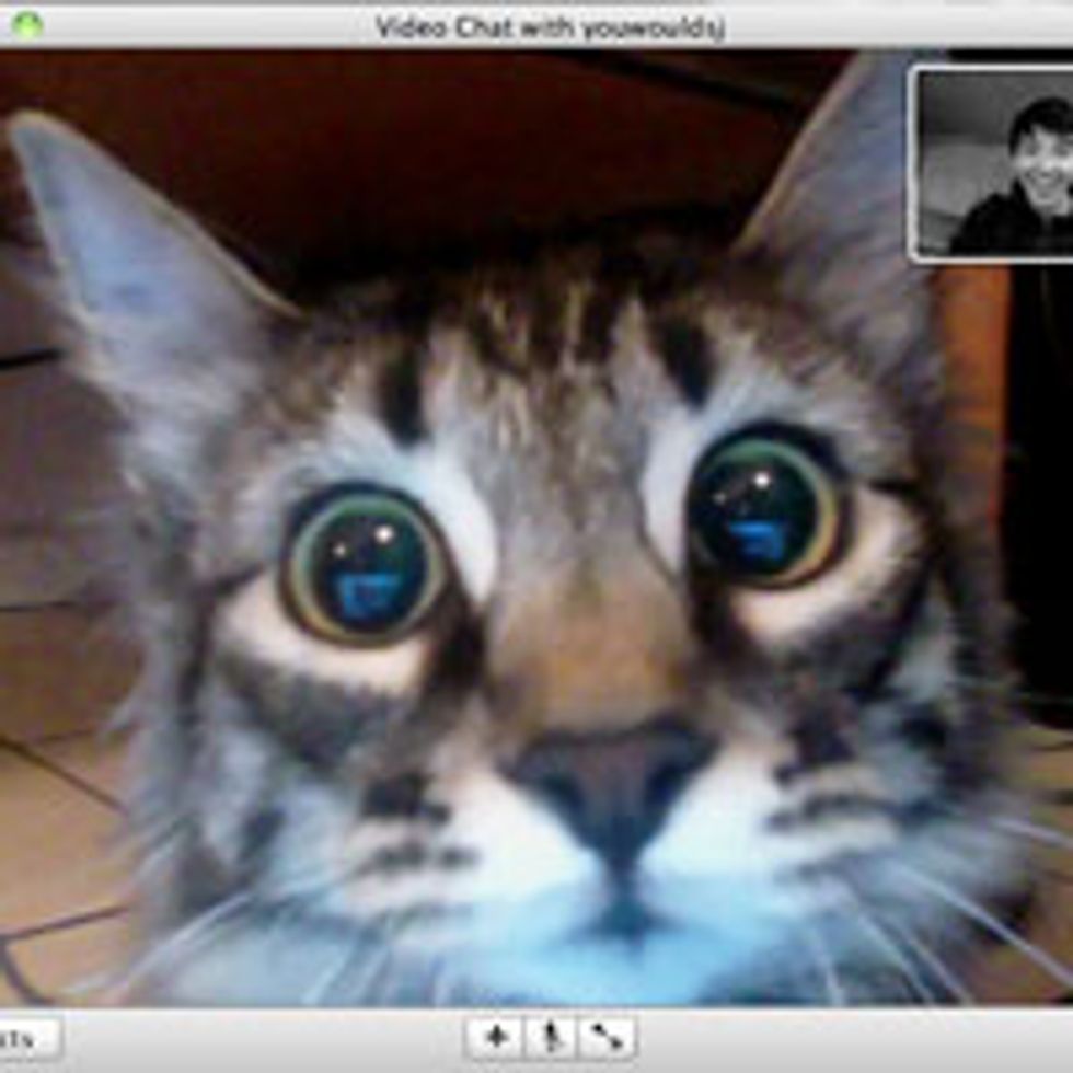 Kitty Sees Dad on Webcam First Time