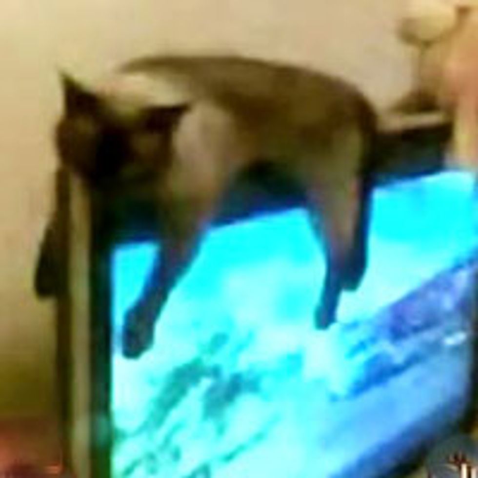 What's on TV Tonight?