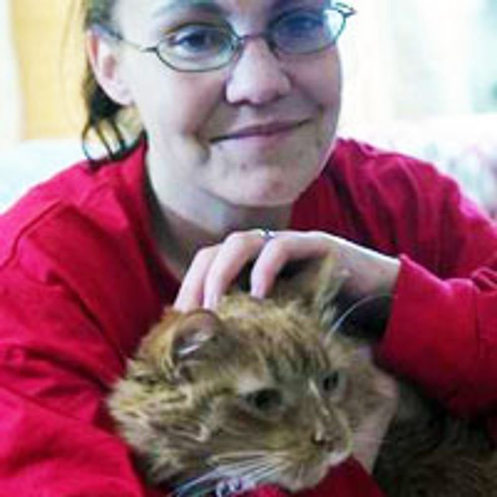 Pudding the Cat Saves Owner's Life Hours After Being Adopted