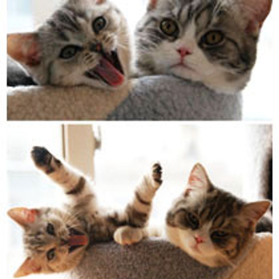 Crazy Furiend? I Have One