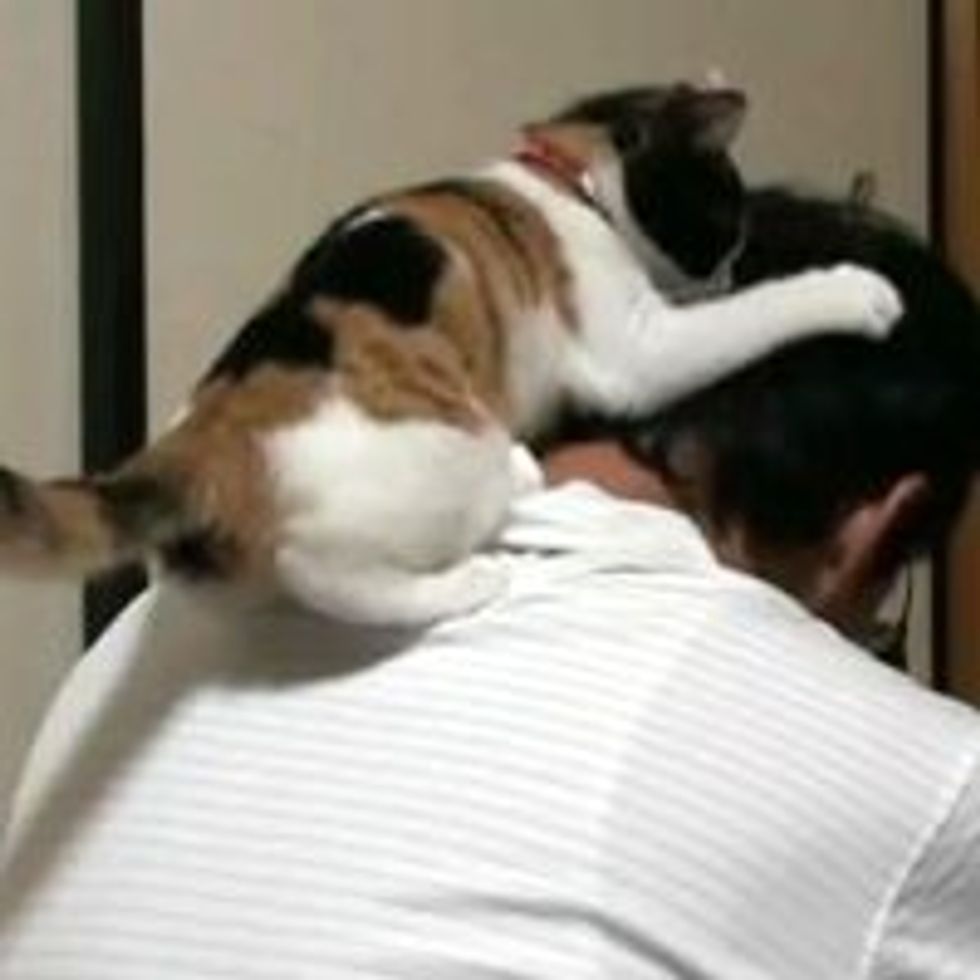 Kitty Love Attack - Love Meow