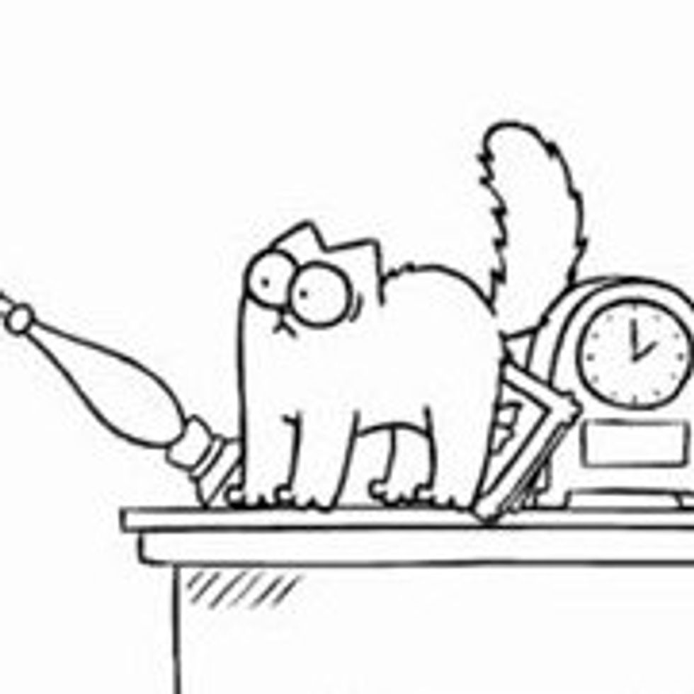 Simon's Cat in 'Shelf Life'