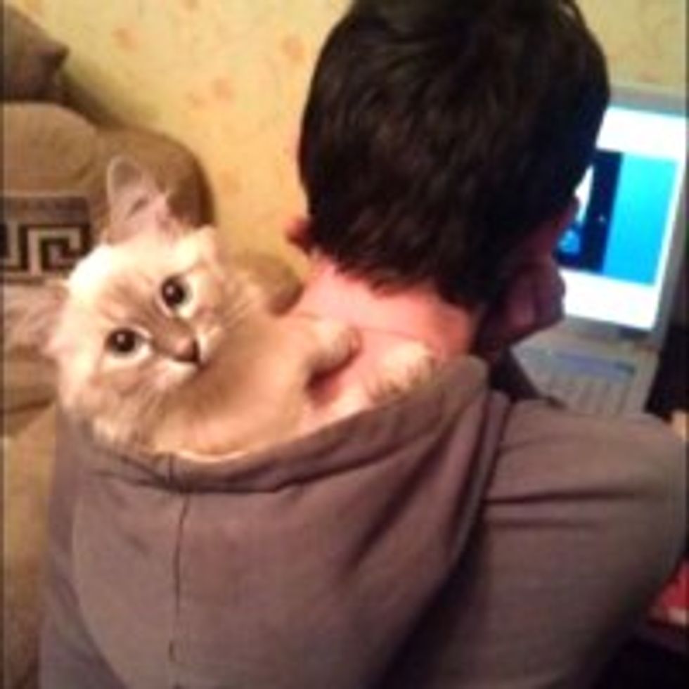 Kitty Chillin' in the Hood