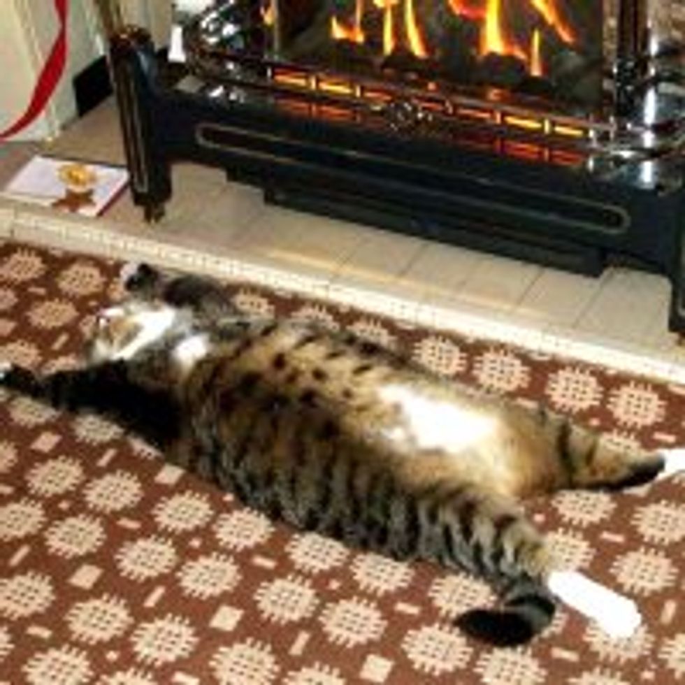 Just Relaxin' and Warming the Belly
