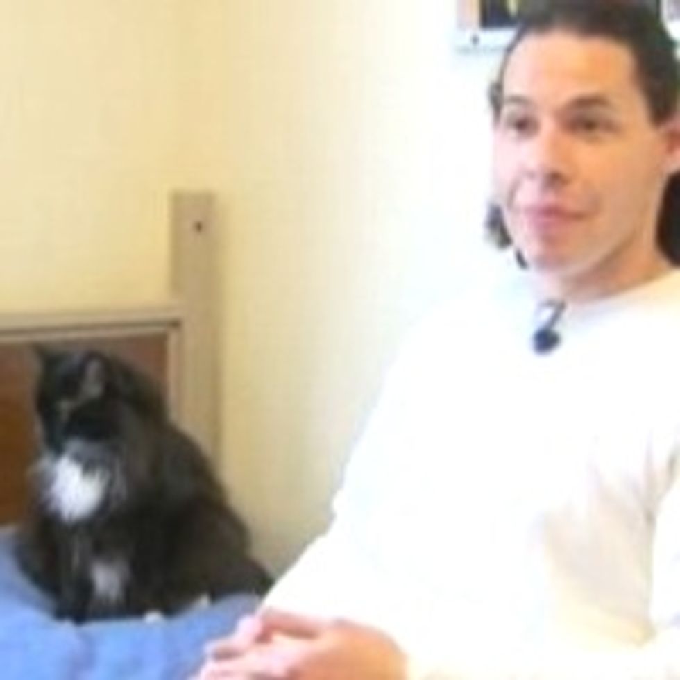 Cats and Prisoners Give Each Other a Second Chance