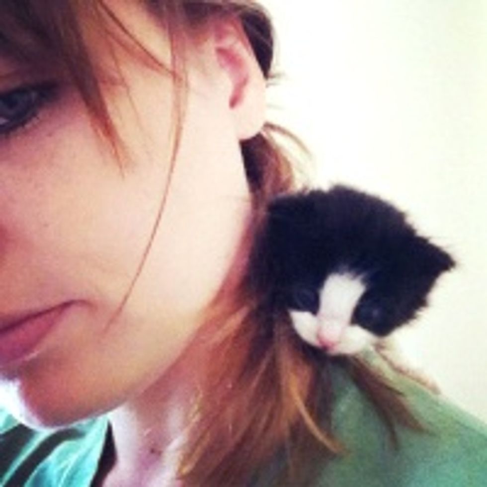 Teeny Bitty Shoulder Kitty