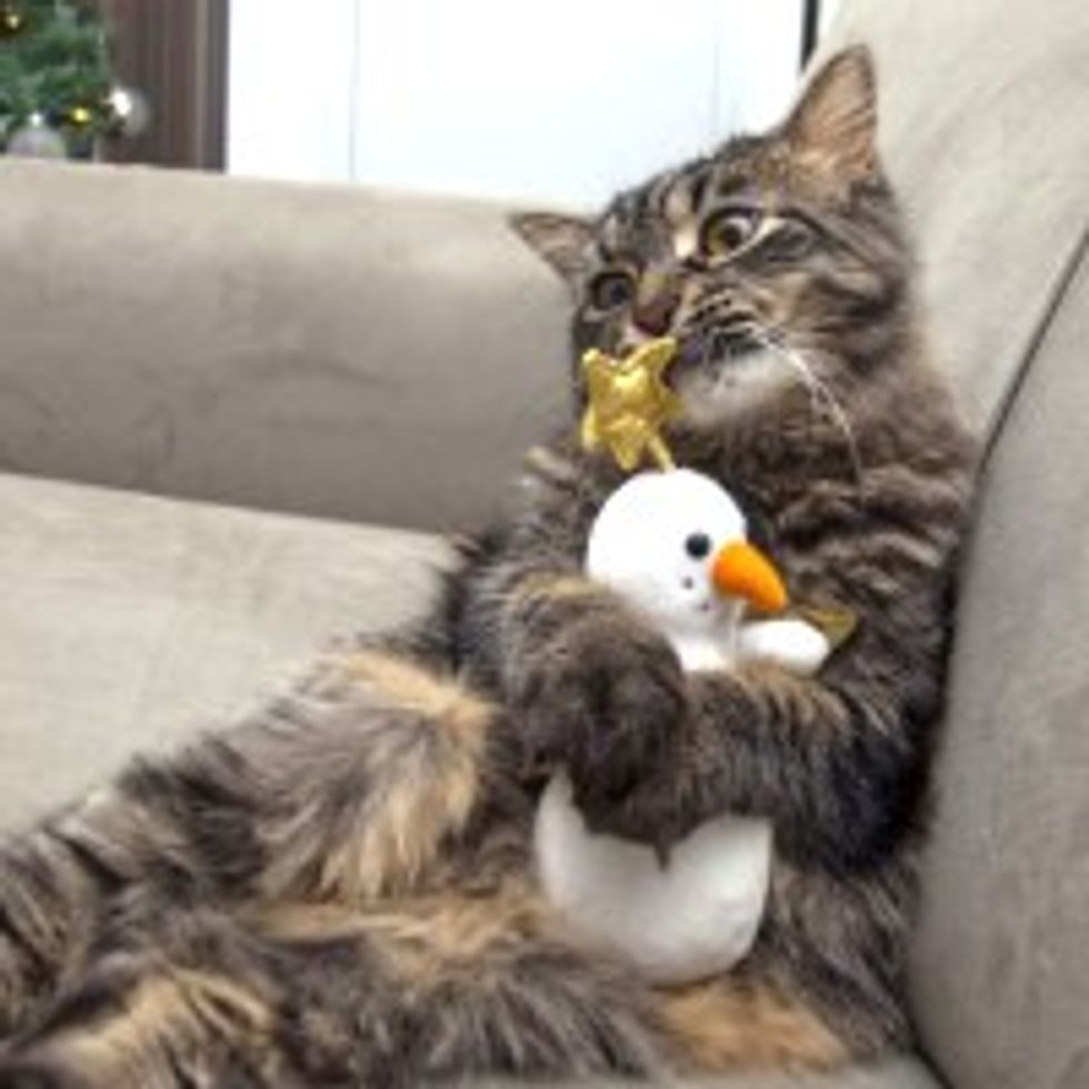 Bubbles the Kitty and His Sidekick the Snowman