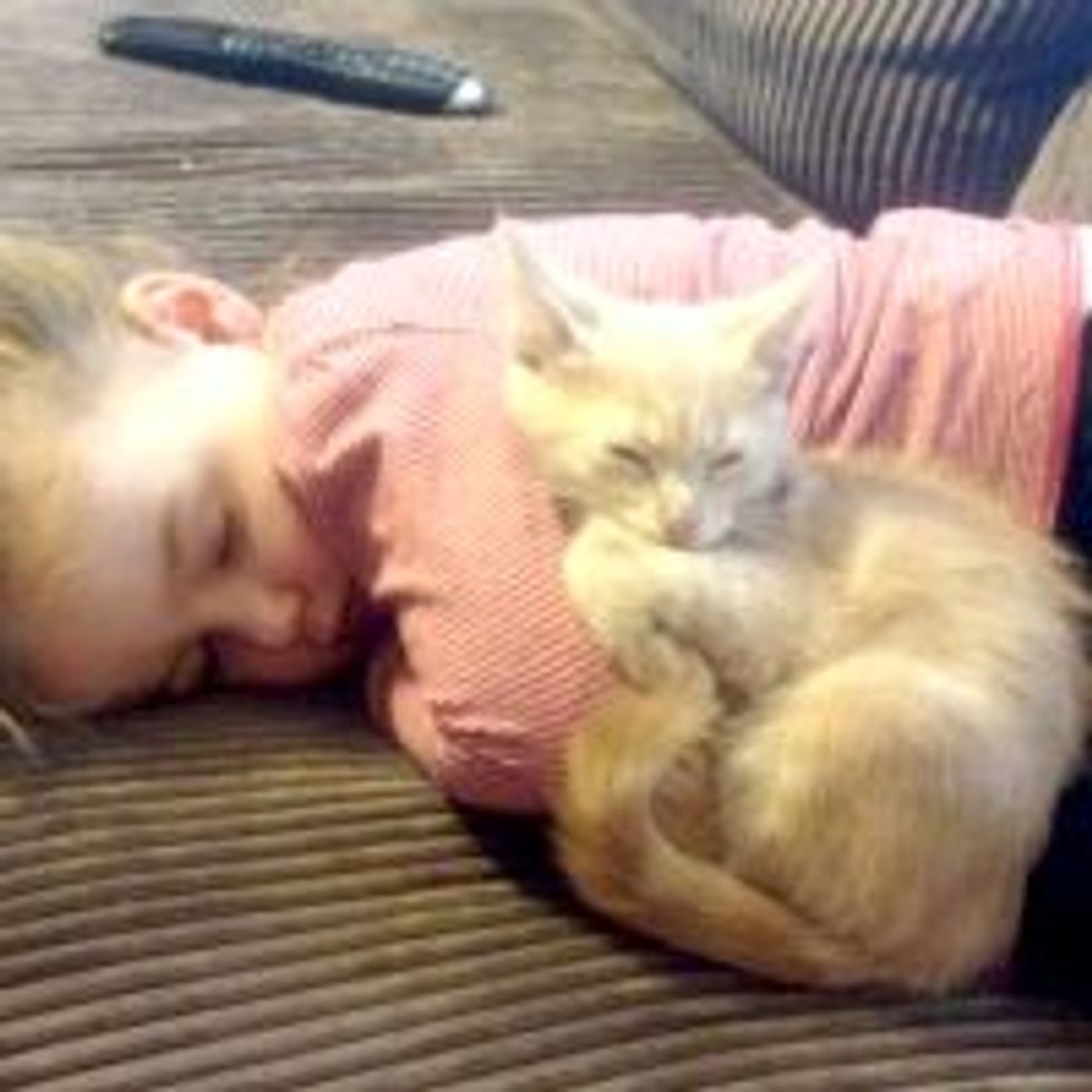 Two Sleepyheads