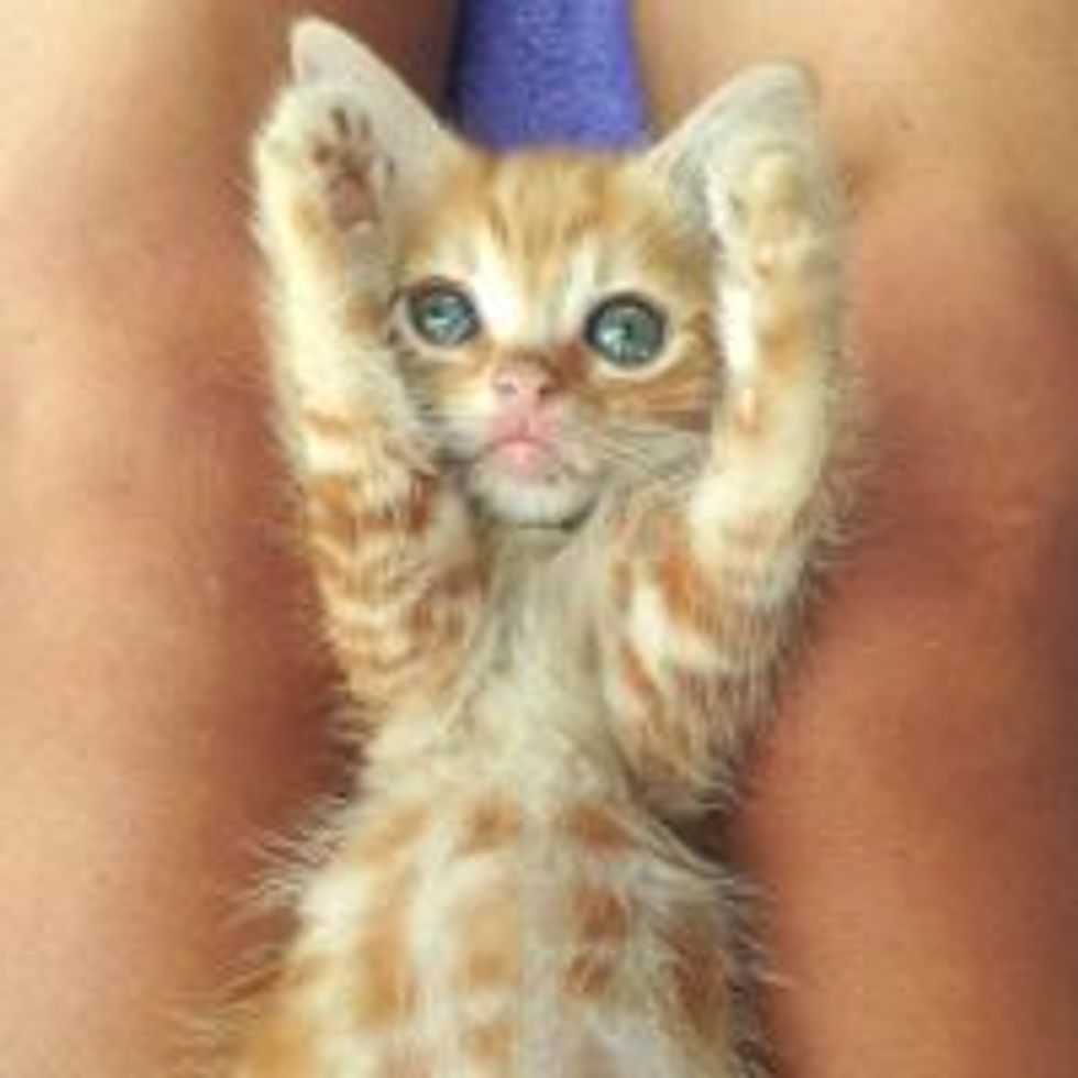 It Is This Big!