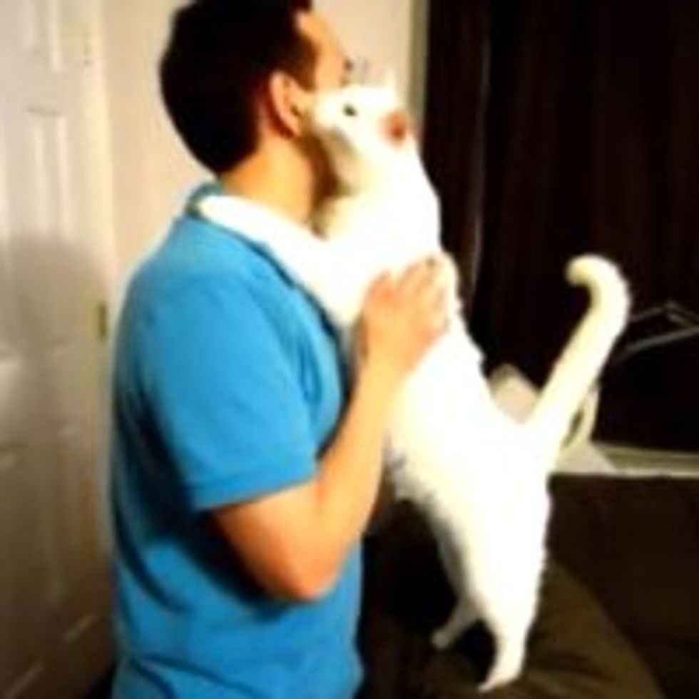 Cat Gives Dad a Big Hug
