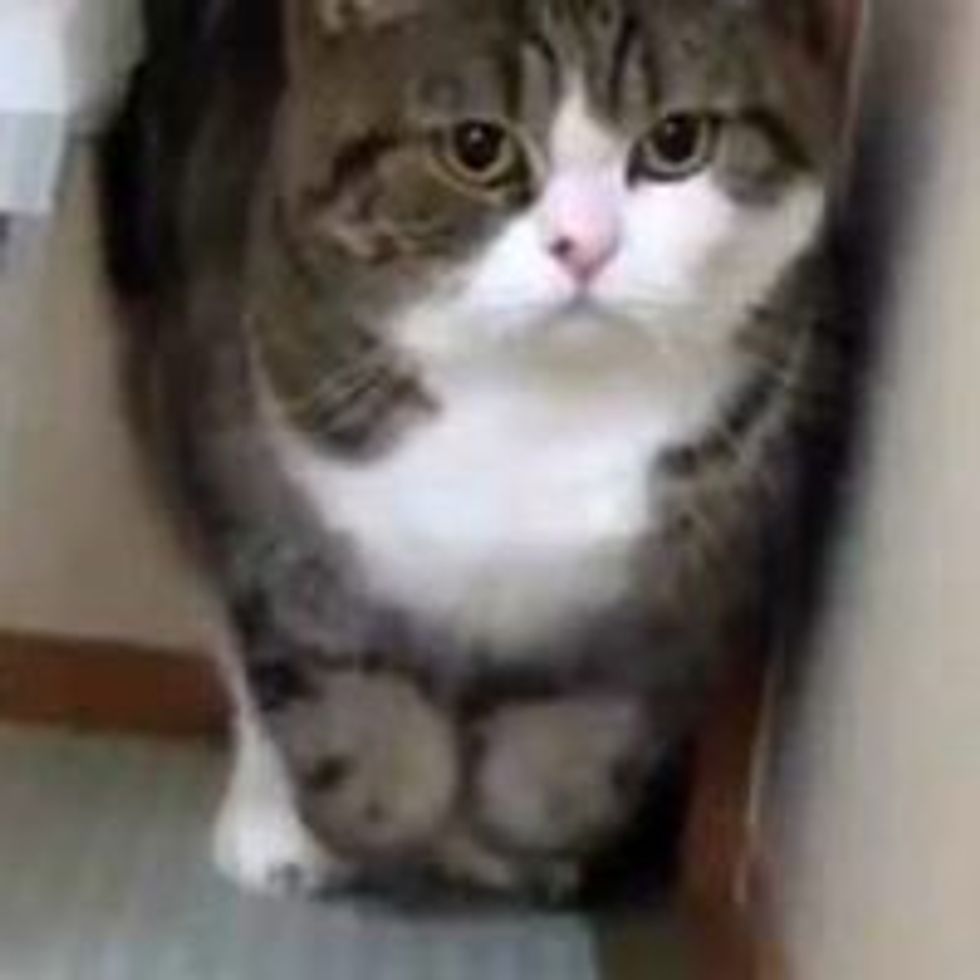 Maru Box Jumping Technique: Bunny Hop