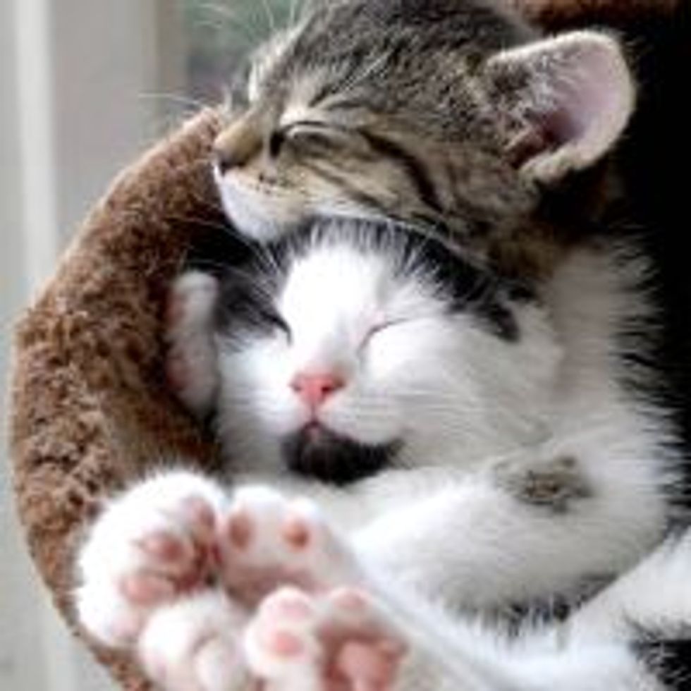 Inseparable Sisters
