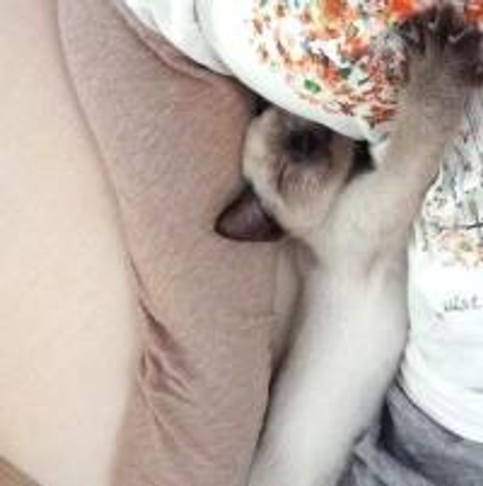 Big Hug!