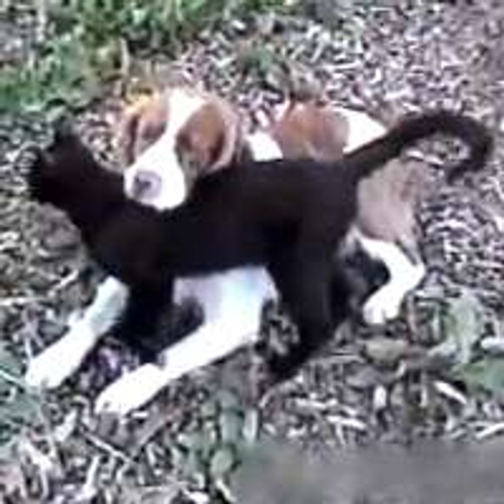I Found a Friend in You