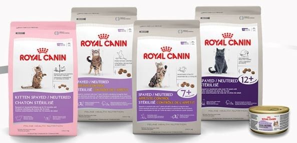 Royal canin spay shop and neuter cat food