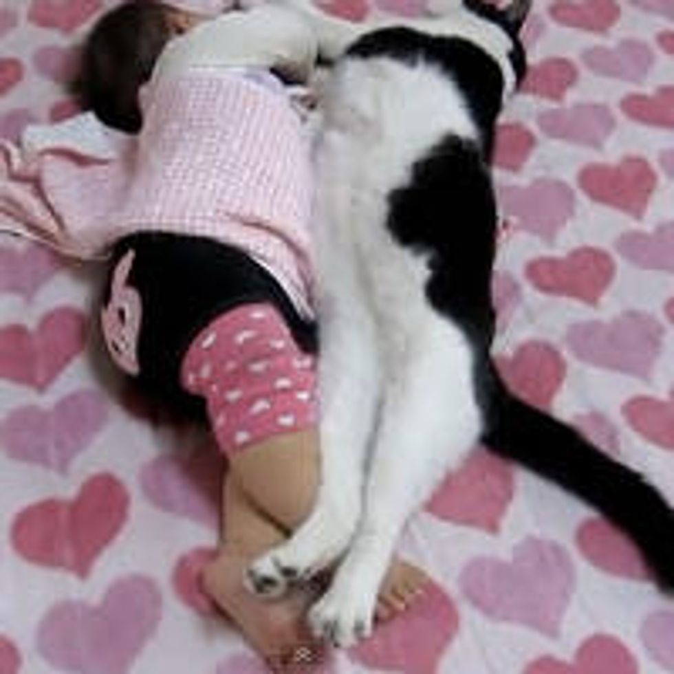 Kitty Naps with Baby