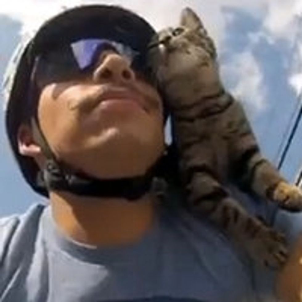 Cat Rides on Bicycle with His Dad