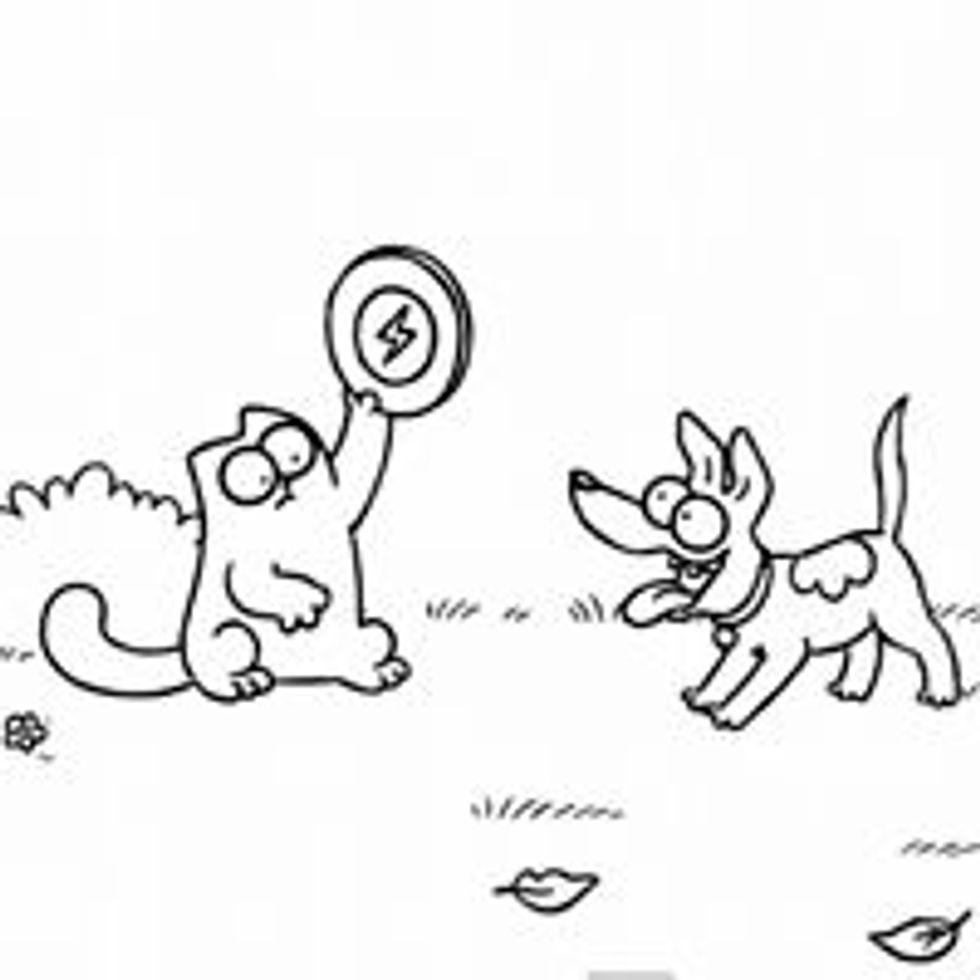Simon's Cat in 'Fetch'