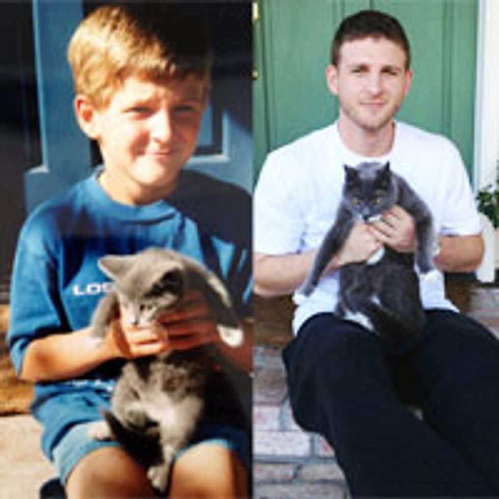Life with Cats: Then and Now