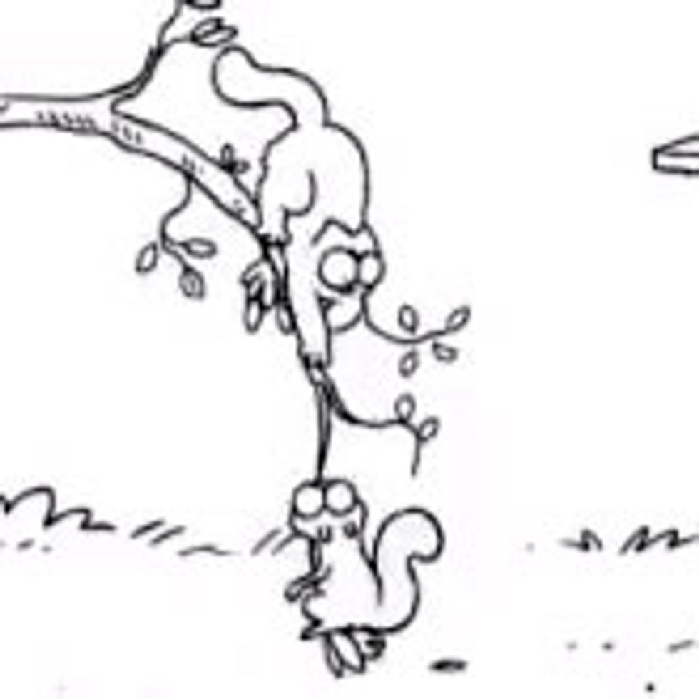 Simon's Cat in 'Nut Again'