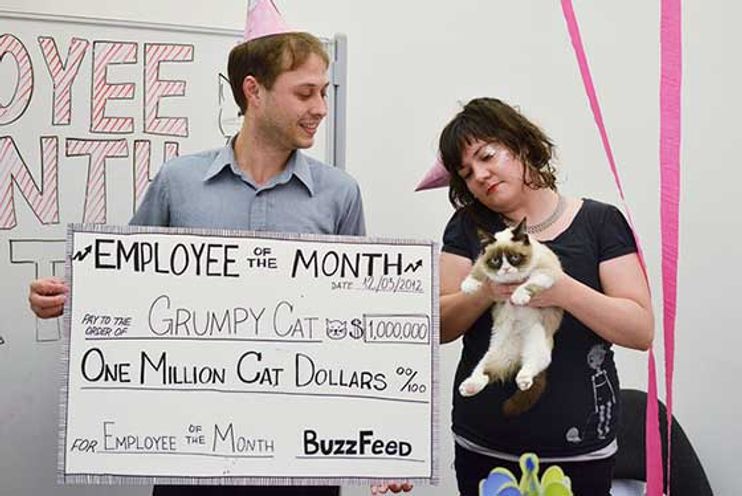 Grumpy Cat's owner quit her day job, but denies claim the crabby feline has  made $100 million - ABC7 Los Angeles