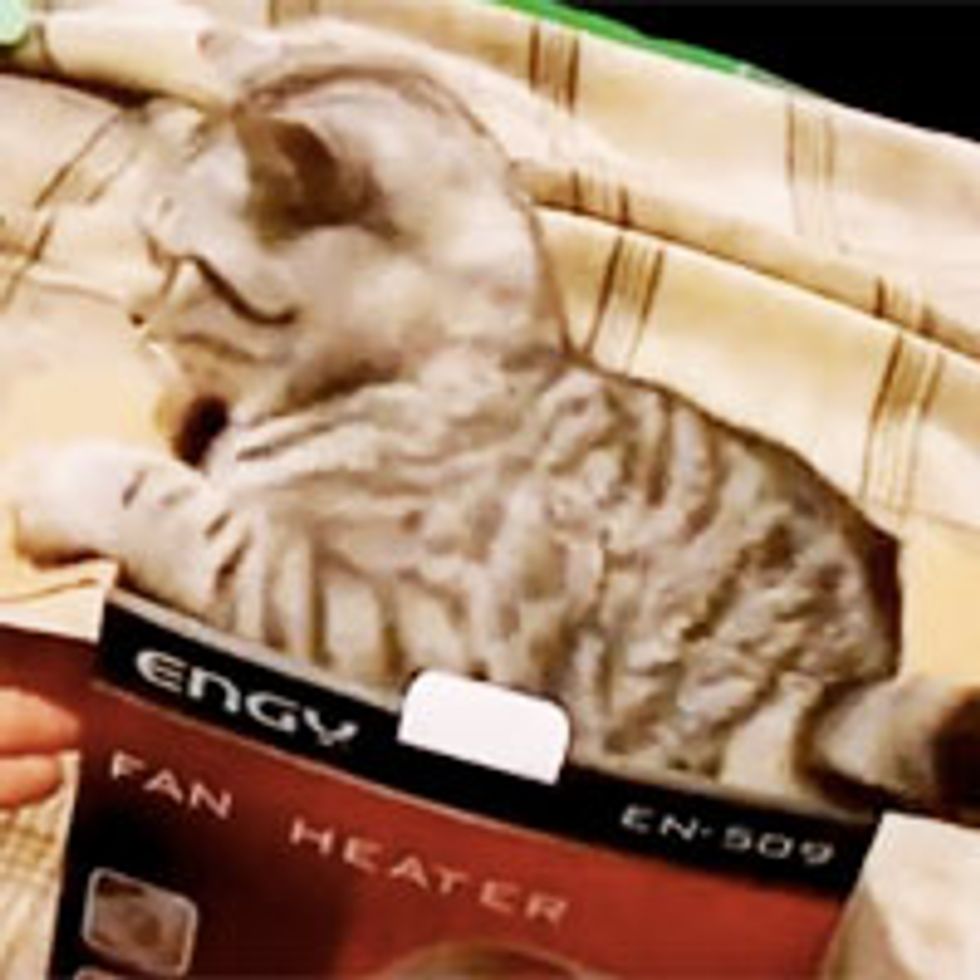 Kitty Wants to Stay Happily-Boxed