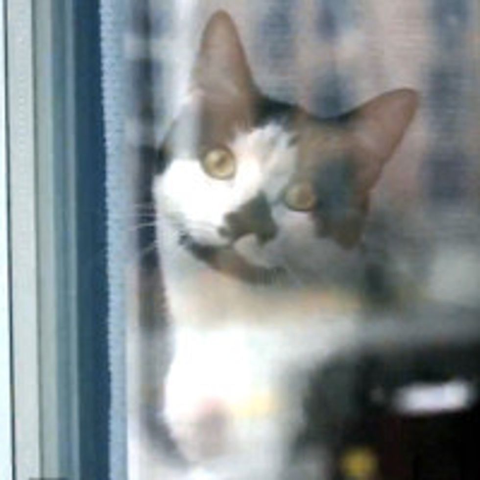 Kodi Sees Snow For The First Time