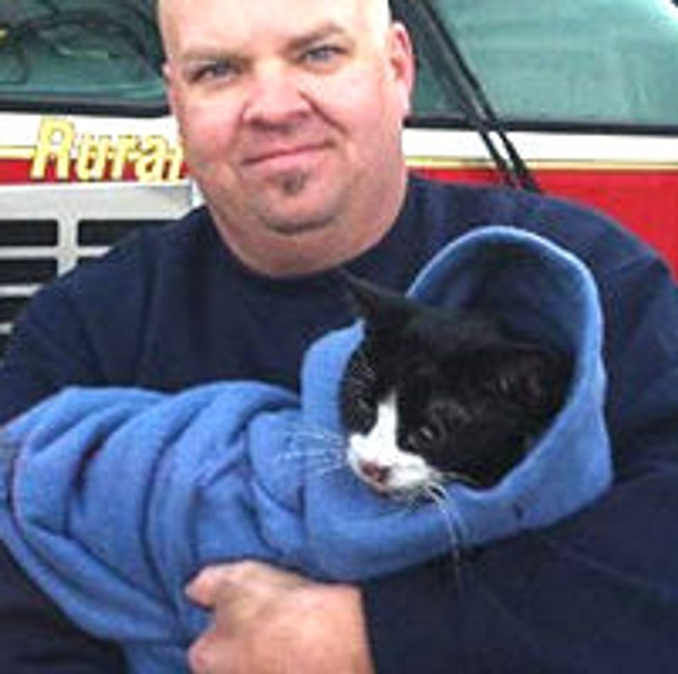 Paramedic Revives Cat Rescued from Fire