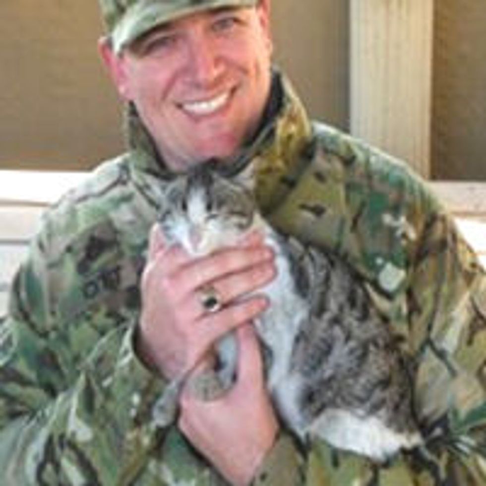 Soldier Brings Rescue Afghan Stray Cat Home