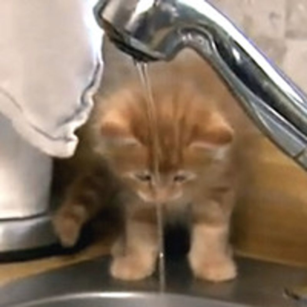 Testing The Water