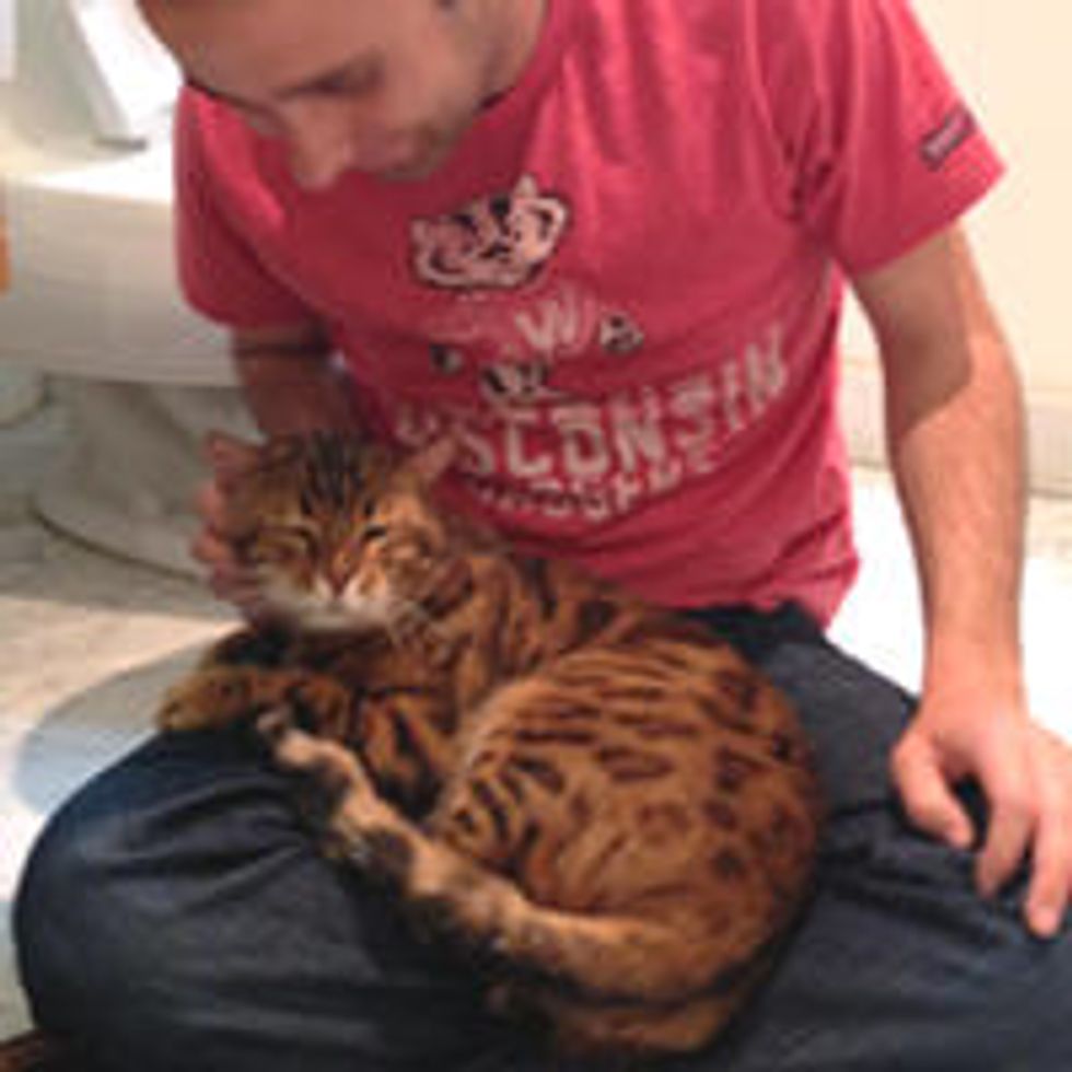 Abandoned Bengal Cat Finds Love In His New Home