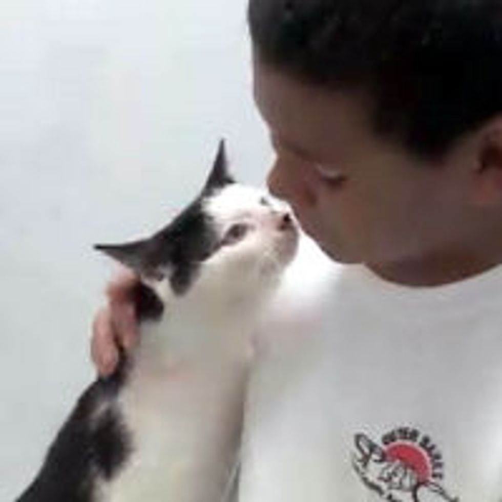 10 Year Old Boy Courageously Saves Cat From Abuse
