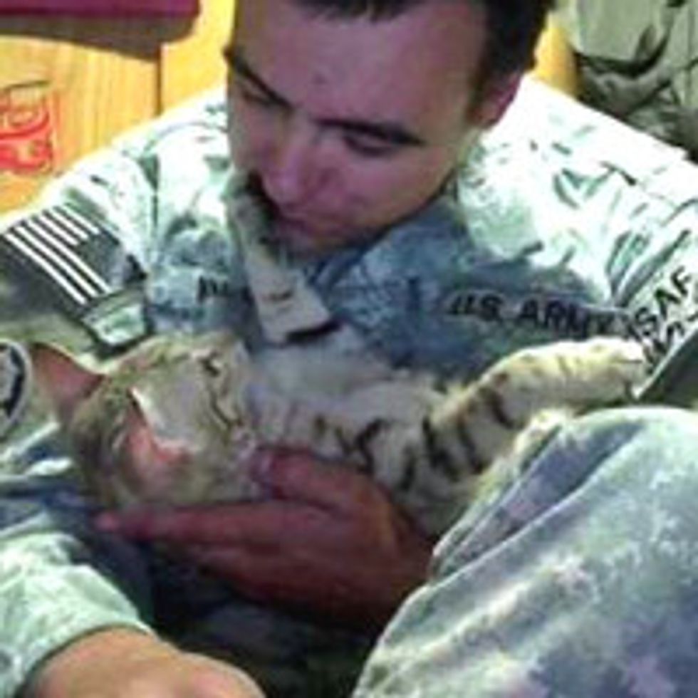 Soldier Saves Afghan Cat: 'He Was My Saving Grace'
