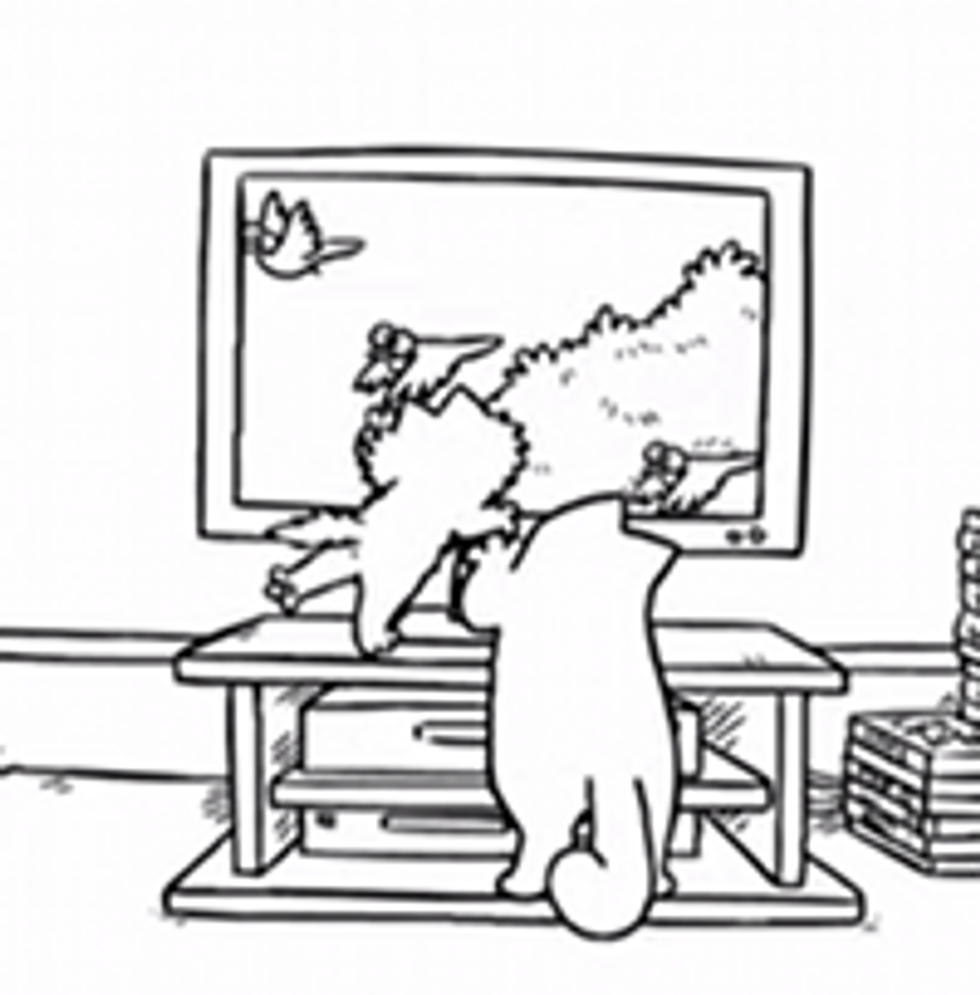 Screen Grab - Simon's Cat