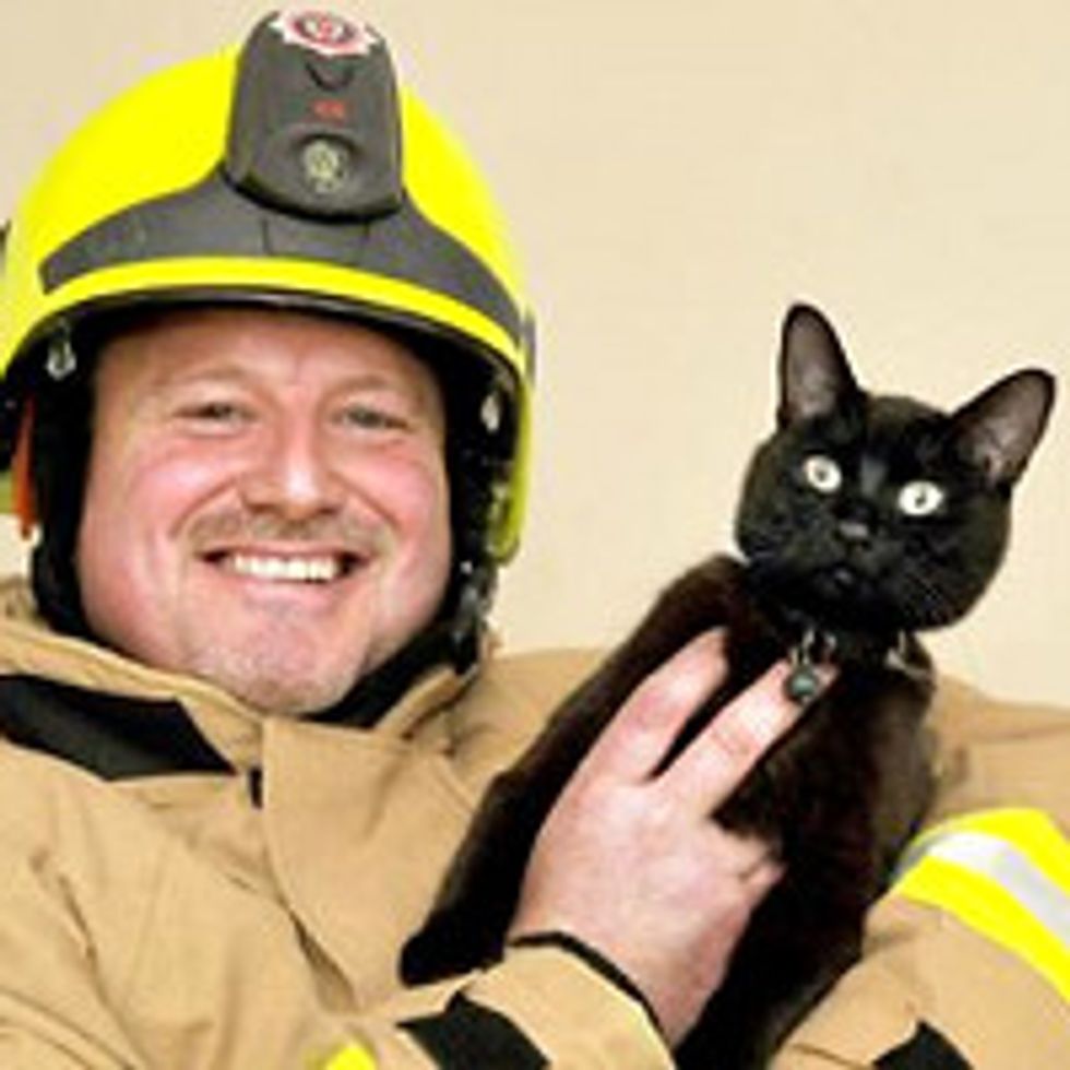 Firefighter Finds His Beloved Missing Cat At Scene Of Fire