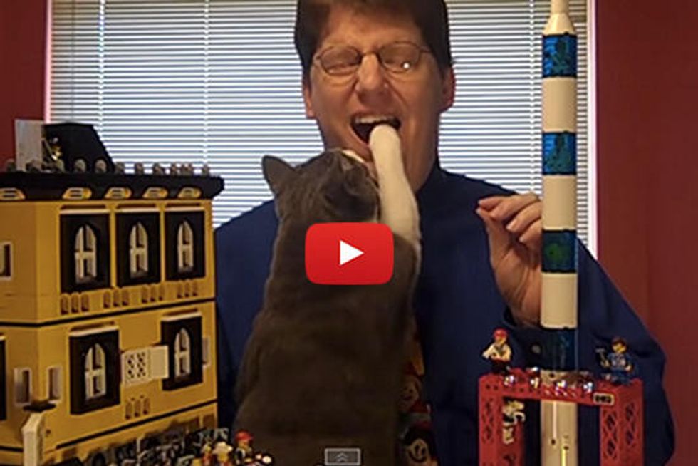 Cat Offers Unexpected Help During Video Taping