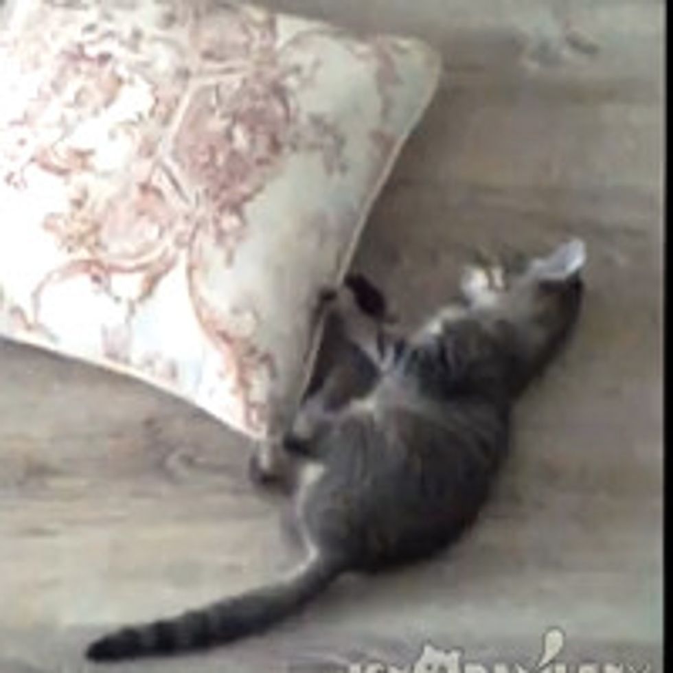 Kitty Spinning Cushion